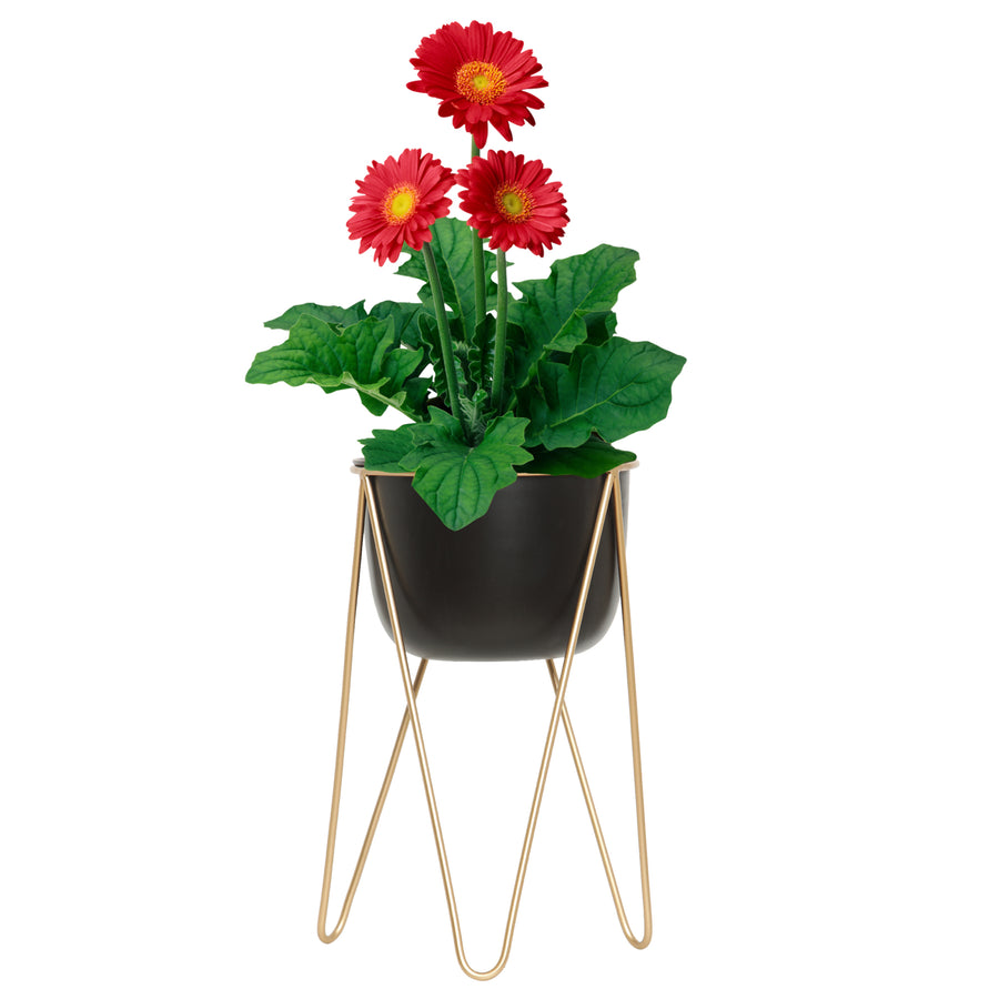 Metal Planter