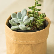 Eco Friendly Storage Bag Planter